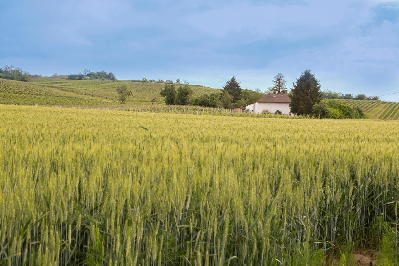 Vila White Tail Organic Farm Orsara Bormida Exteriér fotografie